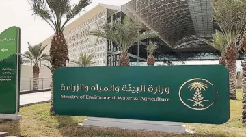 القطاع غير الربحي.. البيئة تكشف عن رؤية طموحة لتجاوز 10 آلاف جمعية